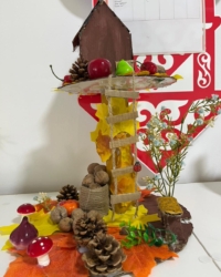 Байқауға қатысушы:  Асылбек Шахсұлтан