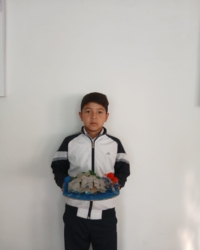 Байқауға қатысушы:  Барыс Сұлтанбек