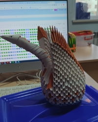 Байқауға қатысушы:  Аубакиров Алижан