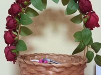 Байқауға қатысушы:  Оңғар Санжар