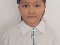 Сұлтанхан Аягөз. Көркем жазу