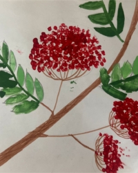 Байқауға қатысушы:  Луговой Матвей