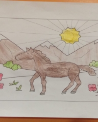 Байқауға қатысушы:  Жәдігер Әлихан