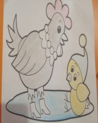 Байқауға қатысушы:  Ергеш Сабина