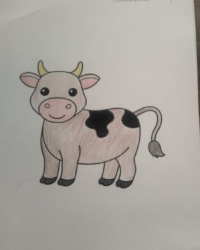 Байқауға қатысушы:  .Алтынбек Айсұлтан