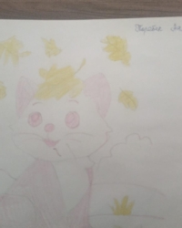 Байқауға қатысушы:  Төребек Аяла