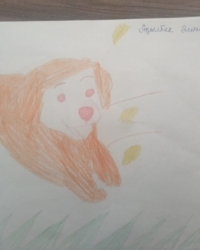 Байқауға қатысушы:  Ақылбек Әлижан