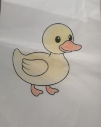 Байқауға қатысушы:  Сайтарлы Арлан