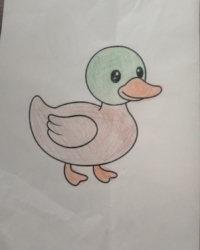 Байқауға қатысушы:  Жандос Ерхан