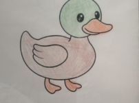 Байқауға қатысушы:  Жандос Ерхан