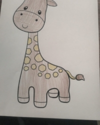 Байқауға қатысушы:  Әбдікамал Нұркелді